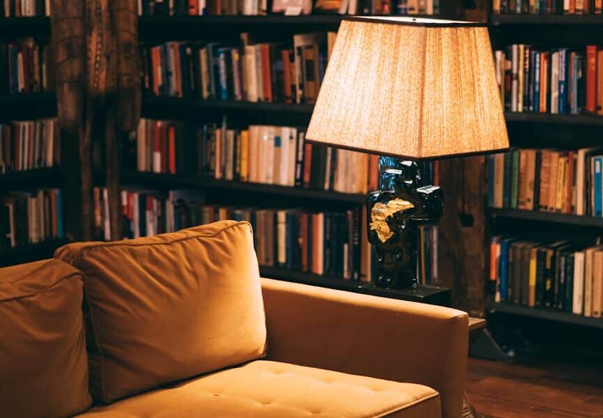 Un canapé confortable, une lampe allumée, devant une bibliothèque bien garnie