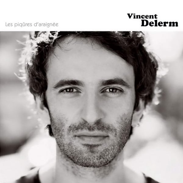 Vincent Delerm - Les piqures d'araignée